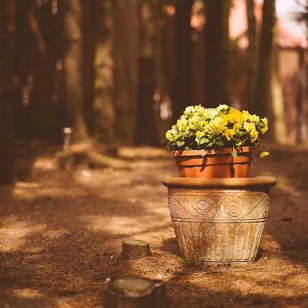 Mlynarzowy Dworek * Gdynia