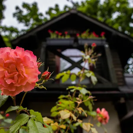 Mlynarzowy Dworek * غدينيا