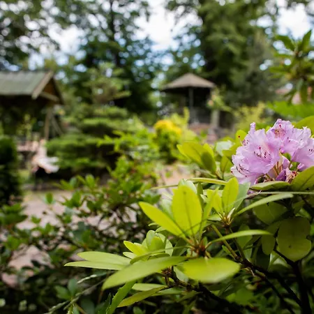 Appartement Mlynarzowy Dworek *