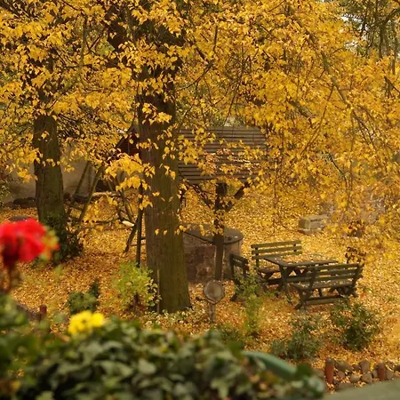 شقة Mlynarzowy Dworek غدينيا