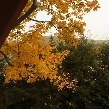 Mlynarzowy Dworek Appartement Gdynia