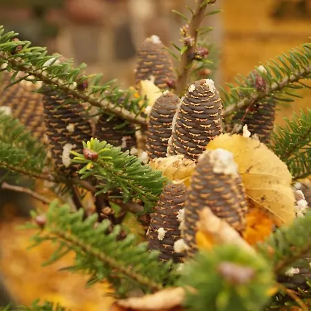 Appartement Mlynarzowy Dworek