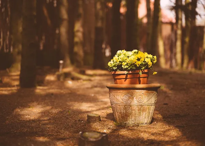 Młynarzowy Dworek * Gdynia