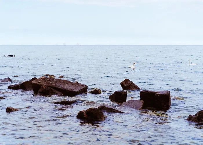 Apartament Młynarzowy Dworek