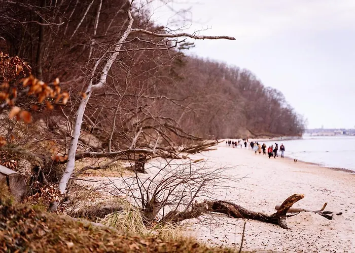 Młynarzowy Dworek Apartament *