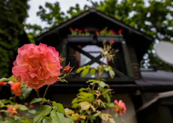 Młynarzowy Dworek * Gdynia