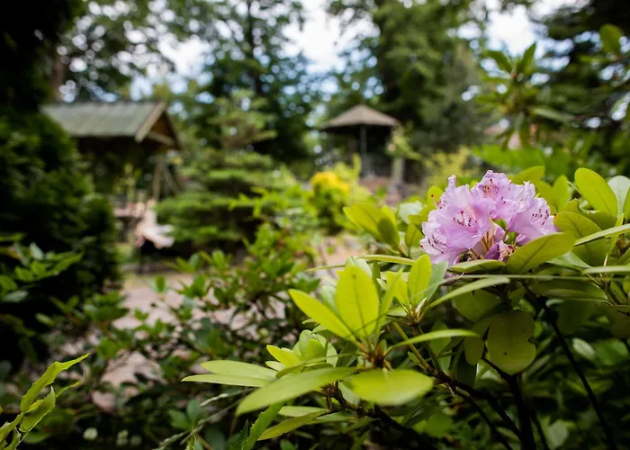 Apartament Młynarzowy Dworek *