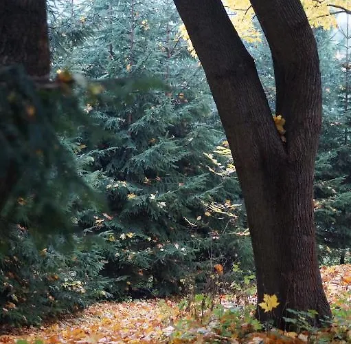 Młynarzowy Dworek Apartament *