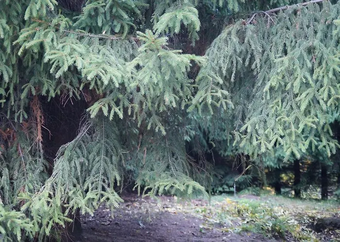 Młynarzowy Dworek Gdynia