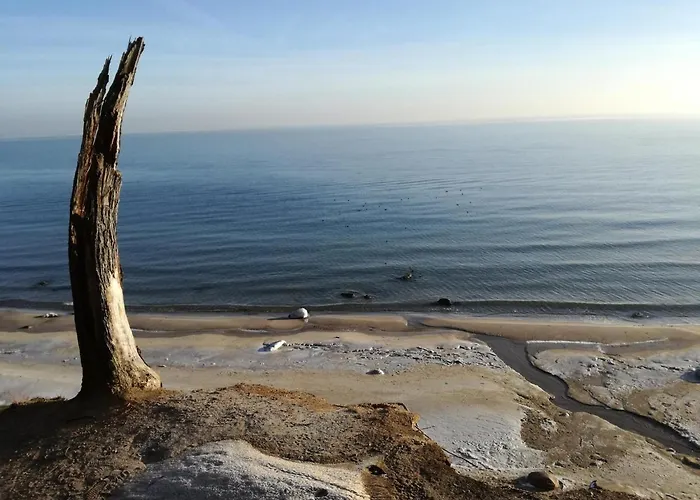 Apartament Młynarzowy Dworek Gdynia