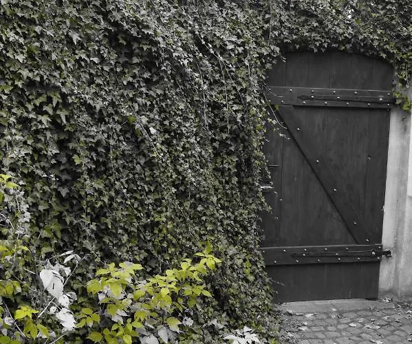 Apartament Młynarzowy Dworek *